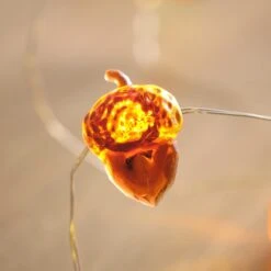 Guirlande Lumineuse à 30 Silhouettes LED Automnales 9 Guirlande Lumineuse à 30 Silhouettes LED Automnales -Éclairage Domestique C20 AUTUMN guirlande lumineuse a 30 silhouettes led automnales 4