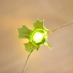 Guirlande Lumineuse à 30 Silhouettes LED Automnales 10 Guirlande Lumineuse à 30 Silhouettes LED Automnales -Éclairage Domestique C20 AUTUMN guirlande lumineuse a 30 silhouettes led automnales 5