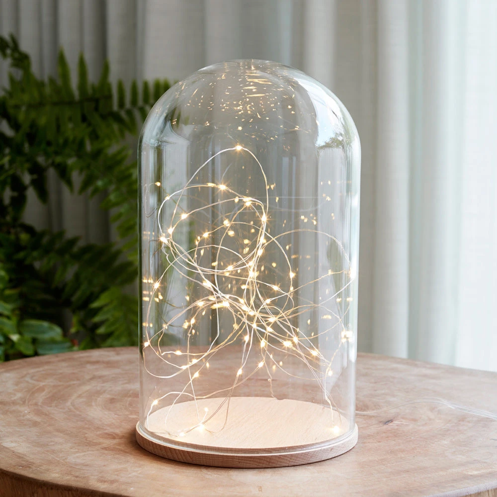 Grande Cloche En Verre Minimaliste Avec 50 Micro LED 1 Grande Cloche En Verre Minimaliste Avec 50 Micro LED