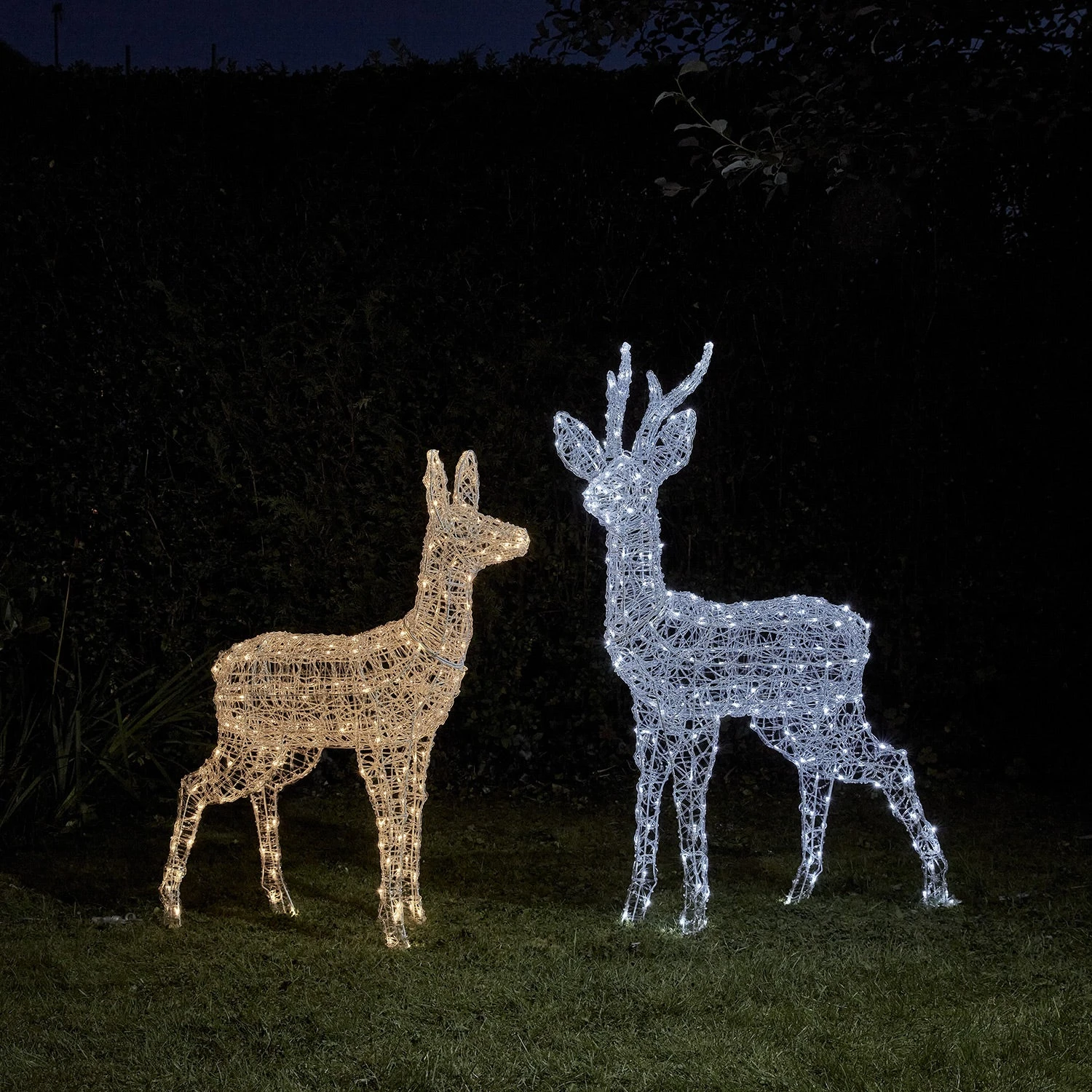 Duo De Rennes Lumineux à Piles Swinsty, Cerf Et Biche à LED Bicolore 2 Duo De Rennes Lumineux à Piles Swinsty, Cerf Et Biche à LED Bicolore – Image 2