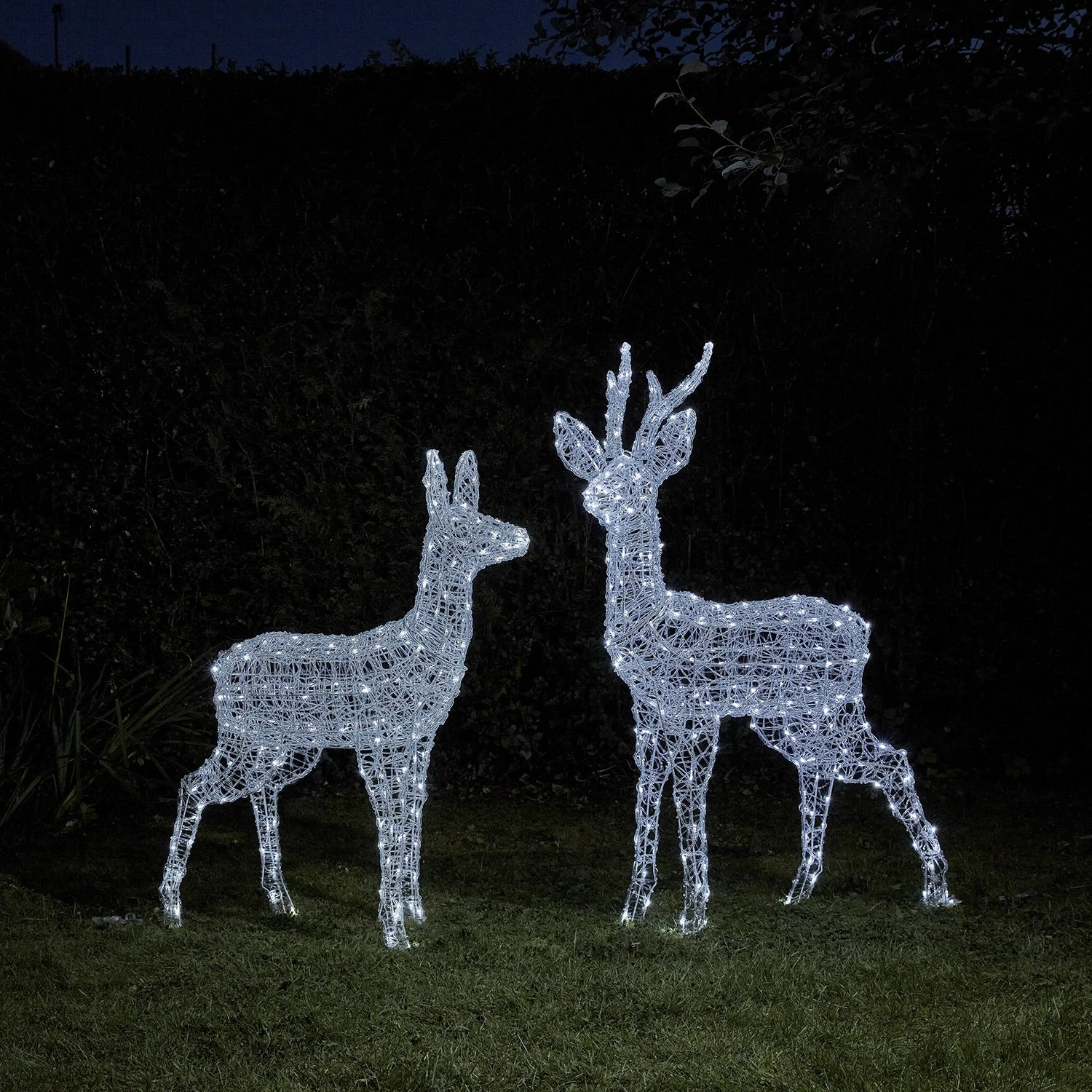 Duo De Rennes Lumineux à Piles Swinsty, Cerf Et Biche à LED Bicolore 1 Duo De Rennes Lumineux à Piles Swinsty, Cerf Et Biche à LED Bicolore
