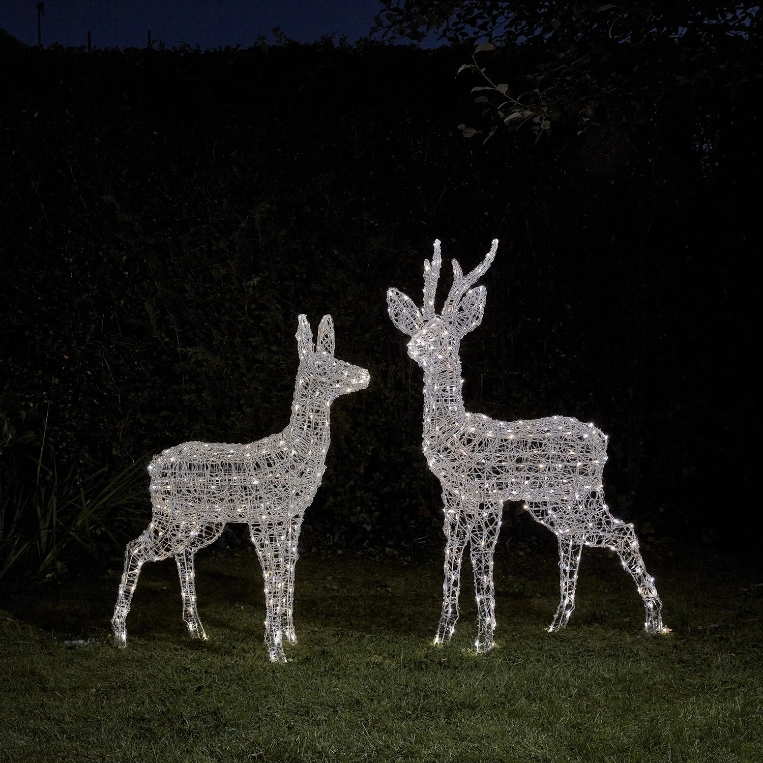 Duo De Rennes Lumineux à Piles Swinsty, Cerf Et Biche à LED Bicolore 3 Duo De Rennes Lumineux à Piles Swinsty, Cerf Et Biche à LED Bicolore – Image 3