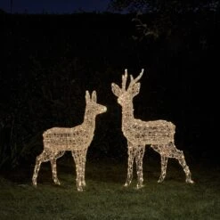 Duo De Rennes Lumineux à Piles Swinsty, Cerf Et Biche à LED Bicolore 7 Duo De Rennes Lumineux à Piles Swinsty, Cerf Et Biche à LED Bicolore -Éclairage Domestique D XX23056BO duo de rennes lumineux a piles swinsty 4