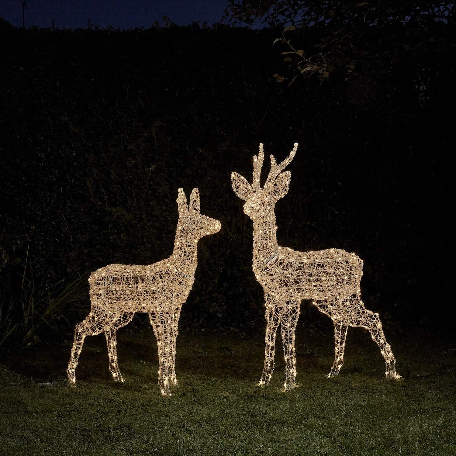 Duo De Rennes Lumineux à Piles Swinsty, Cerf Et Biche à LED Bicolore 4 Duo De Rennes Lumineux à Piles Swinsty, Cerf Et Biche à LED Bicolore – Image 4