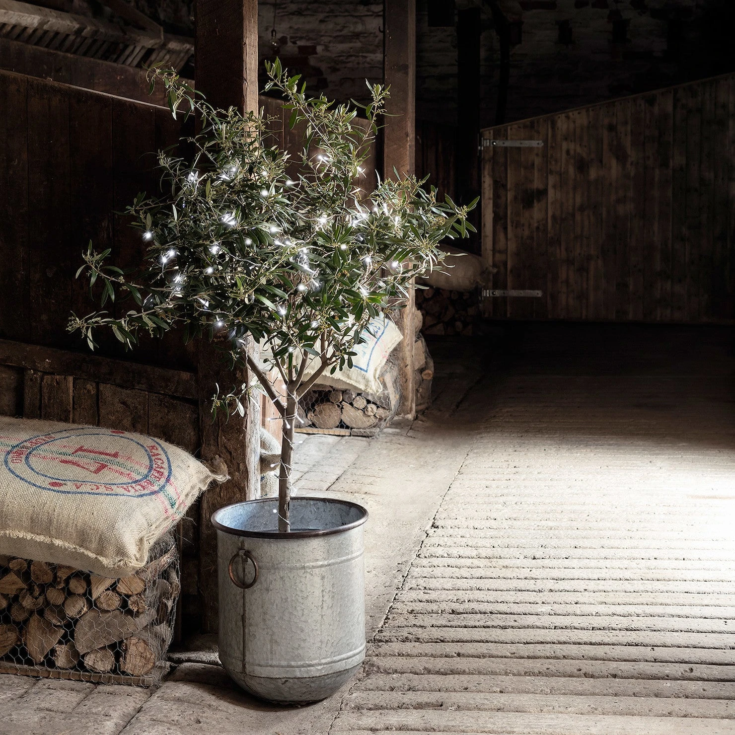 Guirlande Lumineuse Essential Connect 10m 100 LED Blanche Câble Transparent Raccordable 2 Guirlande Lumineuse Essential Connect 10m 100 LED Blanche Câble Transparent Raccordable – Image 2