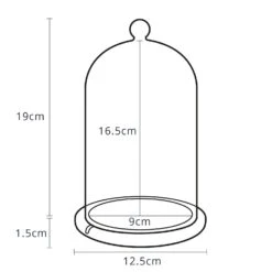 Lot De Cloche En Verre & Guirlande Micro LED Fantômes Et Araignées -Éclairage Domestique GDM15 1 Dimensions Glass Dome Bell Jar Cloche P9 2