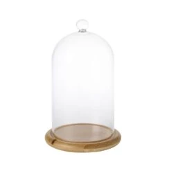 Cloche En Verre Décorative 11 Cloche En Verre Décorative -Éclairage Domestique GDM15 1 Small Glass Dome Jar Bamboo Base cutout P5