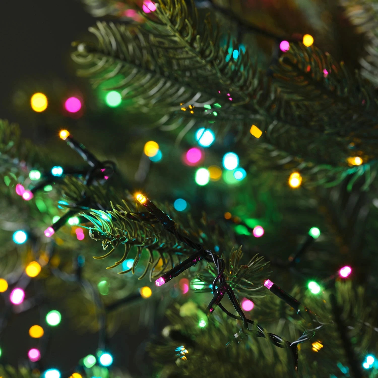 Guirlande Lumineuse Multicolore à 1000 LED Pour Intérieur Et Extérieur 1 Guirlande Lumineuse Multicolore à 1000 LED Pour Intérieur Et Extérieur