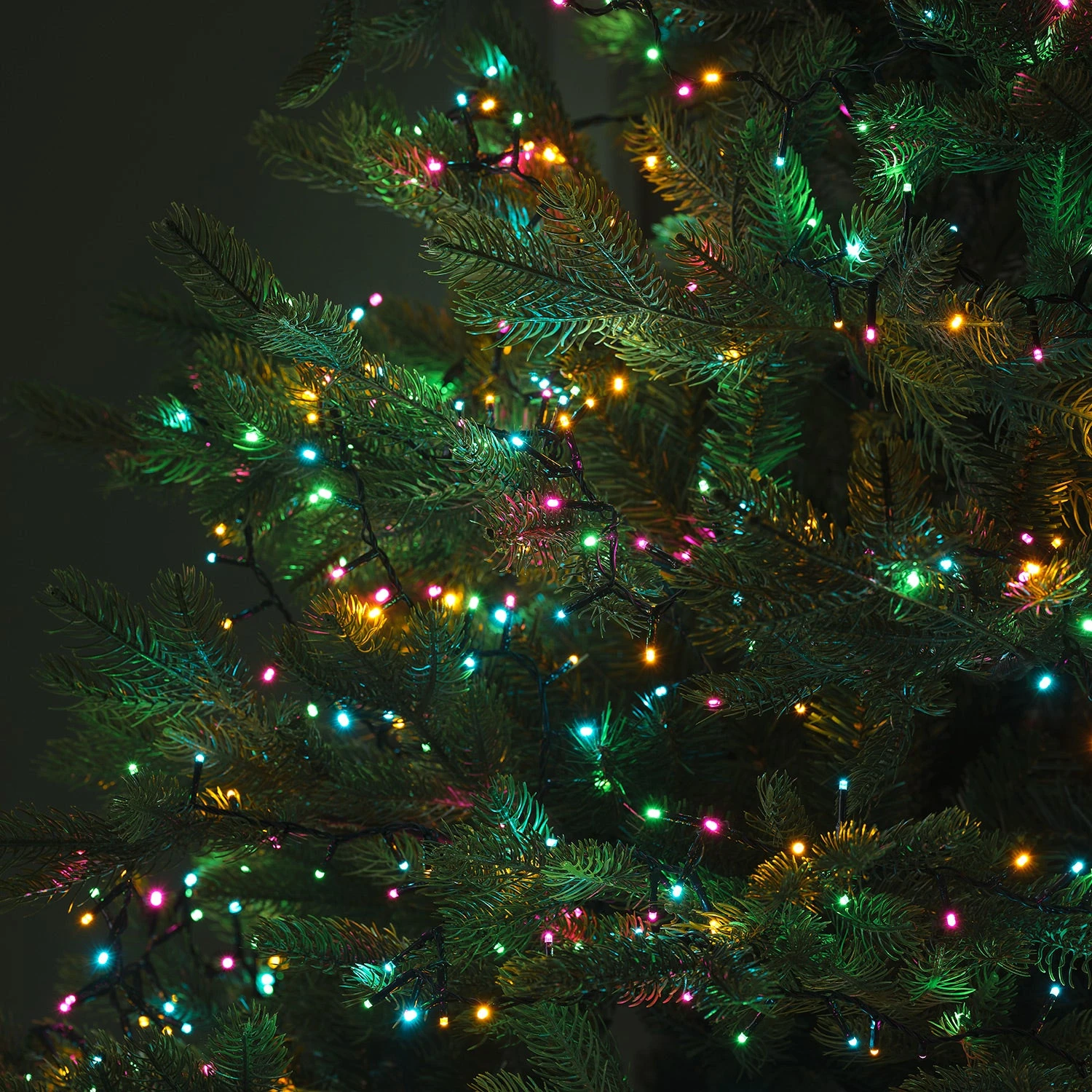 Guirlande Lumineuse Multicolore à 1000 LED Pour Intérieur Et Extérieur 2 Guirlande Lumineuse Multicolore à 1000 LED Pour Intérieur Et Extérieur – Image 2