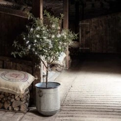 Guirlande Lumineuse à Piles 100 LED Blanches Sur Câble Transparent -Éclairage Domestique LL100WC 100 White Outdoor Battery Lights olive tree barn P1