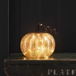 Citrouille Lumineuse Ambrée à Tige En Spirale 8 Citrouille Lumineuse Ambrée à Tige En Spirale -Éclairage Domestique LL21067 citrouille lumineuse ambree a tige en spirale 4