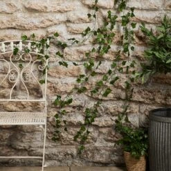 Guirlande Lumineuse à Piles Avec Branches De Lierre Tombantes 7 Guirlande Lumineuse à Piles Avec Branches De Lierre Tombantes -Éclairage Domestique LL24023 Guirlande Lumineuse a Piles avec Branches de Lierre Tombantes 4