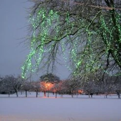 Guirlande Lumineuse Core Connect 50m 500 LED Verte Câble Transparent Raccordable 7 Guirlande Lumineuse Core Connect 50m 500 LED Verte Câble Transparent Raccordable -Éclairage Domestique ML100GC Green LED Connectable Fairy Lights Christmas Tree P3 1e8422a2 4015 46f3 8f85 3028fb814bbc