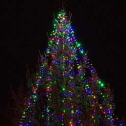 Guirlande Lumineuse Core Connect 10m 100 LED Multicolore Câble Vert Raccordable -Éclairage Domestique ML100MG Multi Coloured Christmas Lights on Tree P5