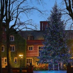 Guirlande Lumineuse Core Connect 50m 500 LED Multicolore Câble Vert Raccordable 9 Guirlande Lumineuse Core Connect 50m 500 LED Multicolore Câble Vert Raccordable -Éclairage Domestique ML100MG multi coloured Christmas tree lights at queen ethelburgas york P3 fa0b26a9 664e 4b1e 91c8 da93ab7c8edb