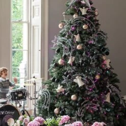 Guirlande Lumineuse Core Connect 20m 200 LED Rose Câble Transparent Raccordable -Éclairage Domestique ML100PC Pink LED Connectable Christmas Fairy Lights On Tree P3 b1339924 53c8 4dff adce bcc8c6cbd8fa