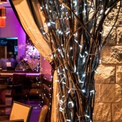 Guirlande Lumineuse Core Connect 10m 100 LED Blanche Câble Transparent Raccordable 8 Guirlande Lumineuse Core Connect 10m 100 LED Blanche Câble Transparent Raccordable -Éclairage Domestique ML100WC White Connectable Christmas Lights On Banyan Tree Harrogate P4