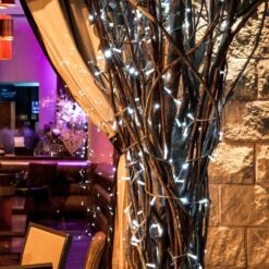 Guirlande Lumineuse Core Connect 20m 200 LED Blanche Câble Transparent Raccordable 8 Guirlande Lumineuse Core Connect 20m 200 LED Blanche Câble Transparent Raccordable -Éclairage Domestique ML100WC White Connectable Christmas Lights On Banyan Tree Harrogate P4 d5c68845 f82b 4421 9a2f 7b7925a82eac