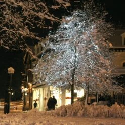 Guirlande Lumineuse Core Connect 20m 200 LED Blanche Câble Vert Raccordable -Éclairage Domestique ML100WG White LED Fairy Lights P4 e07381bc 14c9 454c a35c 4a5939414695