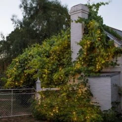 Guirlande Lumineuse Core Connect 20m 200 LED Blanc Chaud Câble Vert Raccordable -Éclairage Domestique ML100YWG Outdoor Warm White Core Rangeh Fairy Lights String P3 5c91bdec eb9d 4a57 90d8 0f4684b09511