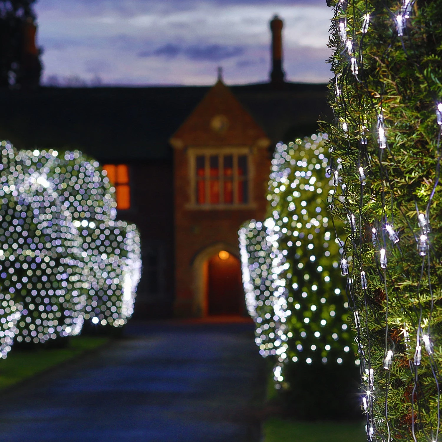 Filet Lumineux Core Connect 2m X 2m 140 LED Blanche Câble Vert Raccordable 2 Filet Lumineux Core Connect 2m X 2m 140 LED Blanche Câble Vert Raccordable – Image 2