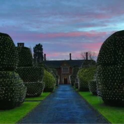 Filet Lumineux Core Connect 2m X 2m 140 LED Blanche Câble Vert Raccordable 10 Filet Lumineux Core Connect 2m X 2m 140 LED Blanche Câble Vert Raccordable -Éclairage Domestique ML140WG White Hedge Net Light P4