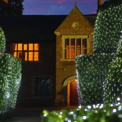 Filet Lumineux Core Connect 2m X 2m 140 LED Blanche Câble Vert Raccordable 11 Filet Lumineux Core Connect 2m X 2m 140 LED Blanche Câble Vert Raccordable -Éclairage Domestique ML140WG White Hedge Net Light P5