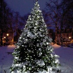 Filet Lumineux Core Connect 2m X 2m 140 LED Blanche Câble Vert Raccordable 13 Filet Lumineux Core Connect 2m X 2m 140 LED Blanche Câble Vert Raccordable -Éclairage Domestique ML140WG White Net Light P7