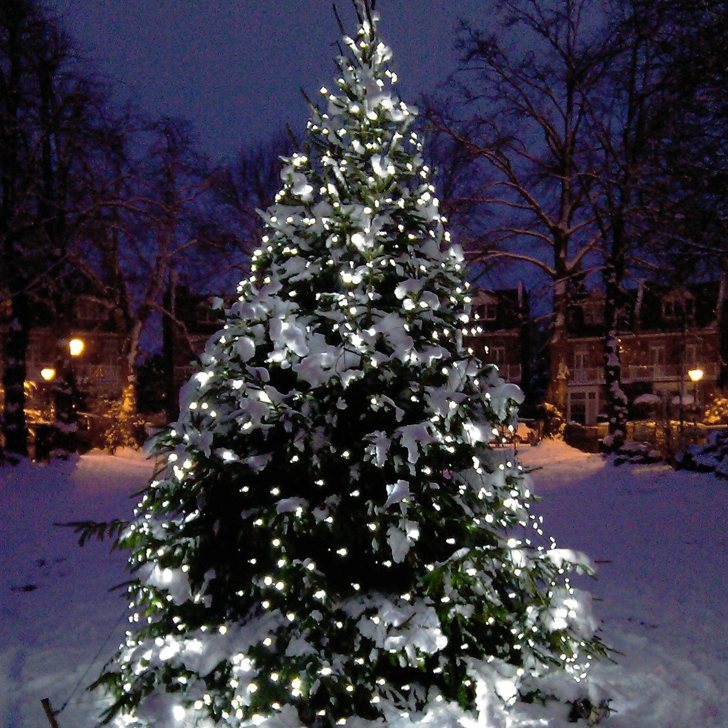 Filet Lumineux Core Connect 6m X 2m 420 LED Blanche Câble Vert Raccordable 7 Filet Lumineux Core Connect 6m X 2m 420 LED Blanche Câble Vert Raccordable – Image 7