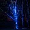Guirlande Lumineuse Pro Connect 5m 50 LED Bleue Câble Noir Raccordable