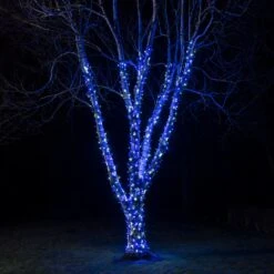Guirlande Lumineuse Pro Connect 5m 50 LED Bleue Et Blanche Câble Noir Raccordable