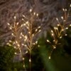 Herbes Décoratives En Cuivre à LED