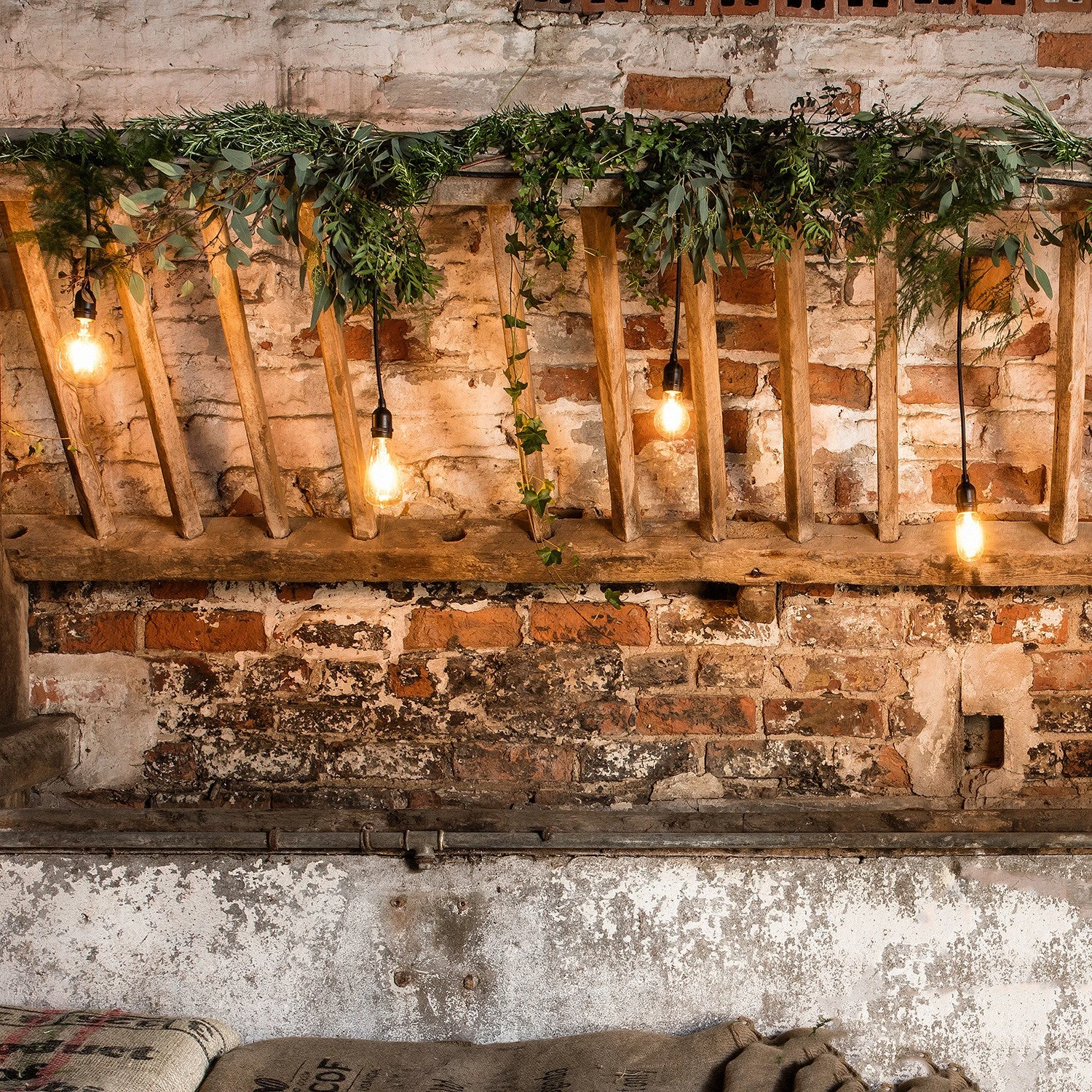 Ceinture Echelonnee Guirlande Guinguette Ingenious Connect 10 Ports 5 M 1 Ceinture Echelonnee Guirlande Guinguette Ingenious Connect 10 Ports 5 M