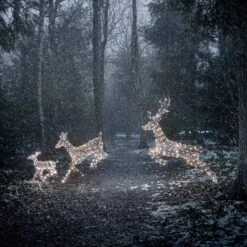 Trio De Rennes De Noël Harlow En Rotin à LED Bicolore 23 Trio De Rennes De Noël Harlow En Rotin à LED Bicolore -Éclairage Domestique XX2102XX2103Trio biche et faon de noel Harlow en rotin 300 led multicouleurs vue jardin 1