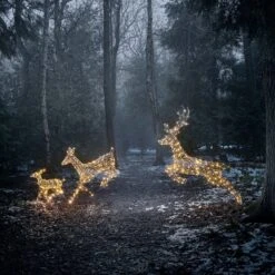 Trio De Rennes De Noël Harlow En Rotin à LED Bicolore 22 Trio De Rennes De Noël Harlow En Rotin à LED Bicolore -Éclairage Domestique XX2102XX2103Trio biche et faon de noel Harlow en rotin 300 led multicouleurs vue jardin 2